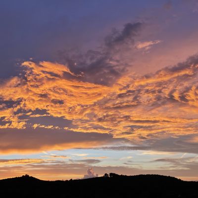 IMG_1964